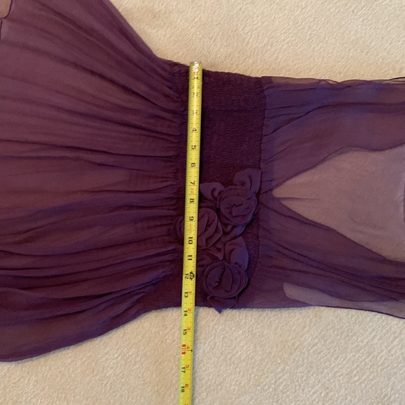 Sheer Silk Blouse - Picture 10 of 10